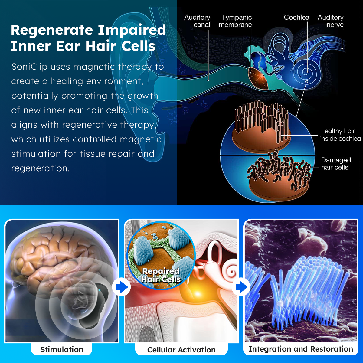 DAFEILA™ SoniClip Tinnitus Relief Device💥